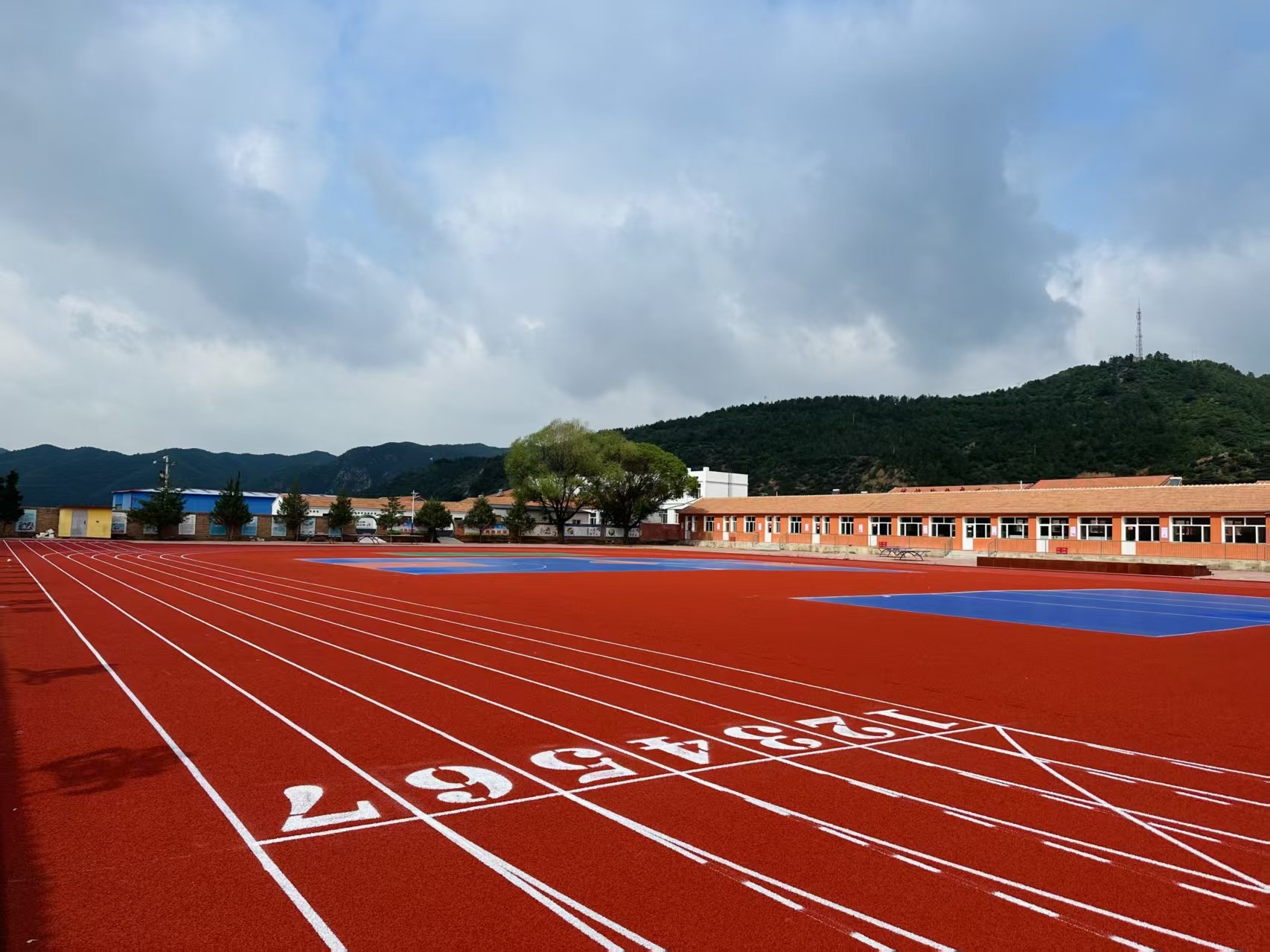 湘西土家族苗族自治州自结纹塑胶跑道硅PU材料 - 排名